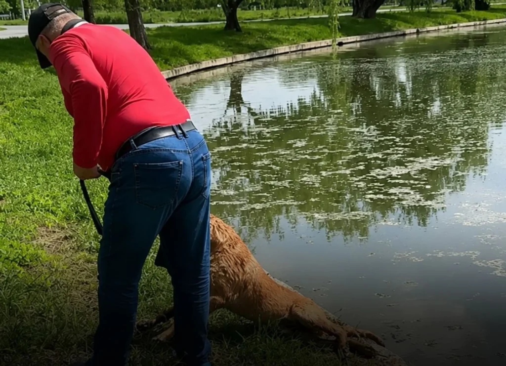 Dosar penal după ce un bărbat ar fi încercat să-și înece câinele în Parcul Tineretului. Animalul a fost preluat de ASPA