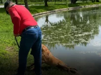 Dosar penal după ce un bărbat ar fi încercat să-și înece câinele în Parcul Tineretului. Animalul a fost preluat de ASPA
