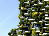 Grădinile verticale, cel mai cool „aer condiționat” al orașelor care înfruntă canicula (Video)