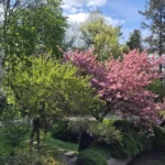 Cum va fi vremea în luna mai: de la temperaturi de îngheț, la 25 de grade în doar câteva zile