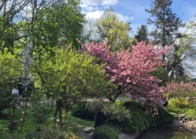 Cum va fi vremea în luna mai: de la temperaturi de îngheț, la 25 de grade în doar câteva zile