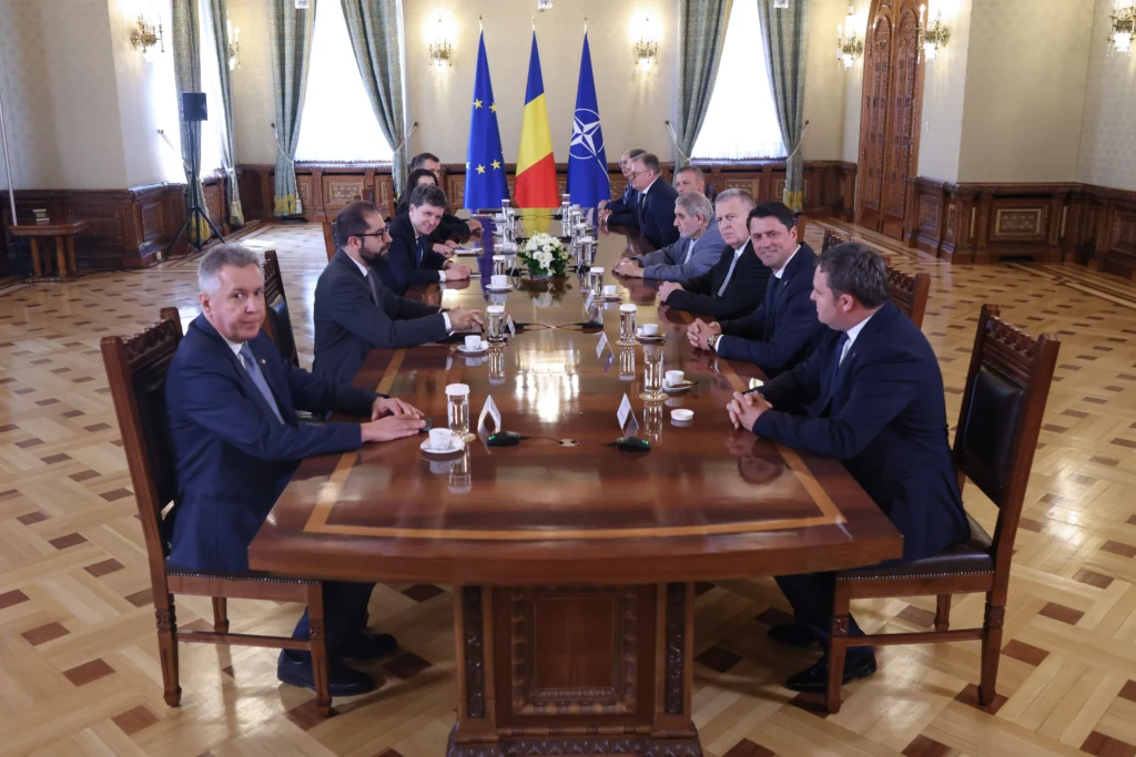 minoritati la masa Cotroceni