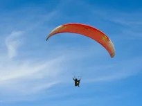 Supraviețuire miraculoasă după ce un avion a lovit o parapantă (Video)