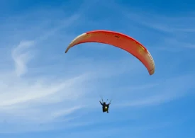 Supraviețuire miraculoasă după ce un avion a lovit o parapantă (Video)