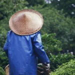 Organismul oamenilor dintr-o populație din Asia a dezvoltat o abilitate pe care restul oamenilor nu o au