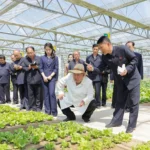 How North Korea became the most surprising economic success story in the world