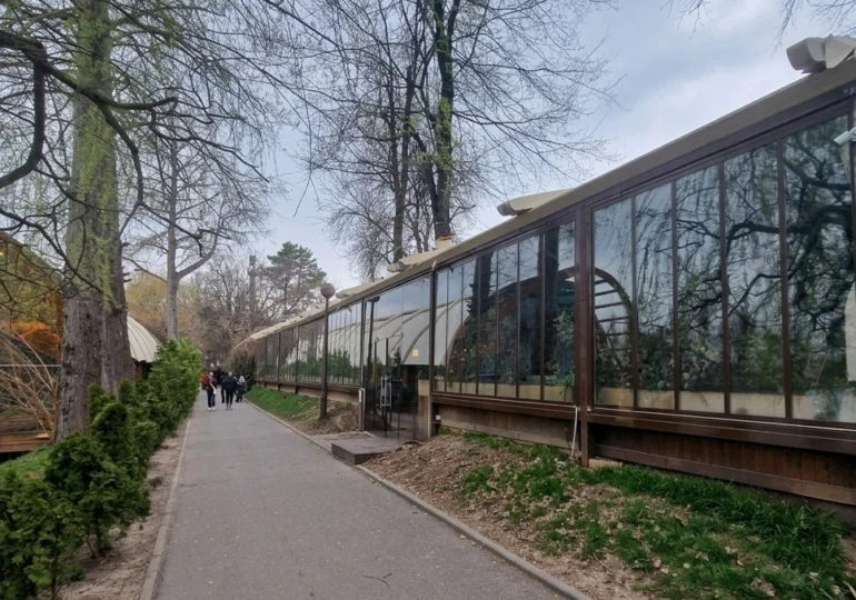 Culisele luptei pentru Herăstrău (8): Peste 100 de procese - cum se luptă autoritățile cu Nuba, în instanță, pentru autorizații și amenzi