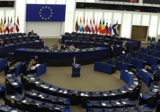 Parlamentul European interzice termenul „friptură vegetală”. Și Paul McCartney s-a implicat