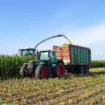 Scumpirea petrolului împinge țările spre biocombustibili. Experții avertizează: Lumea riscă o nouă criză alimentară