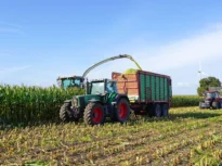 Scumpirea petrolului împinge țările spre biocombustibili. Experții avertizează: Lumea riscă o nouă criză alimentară