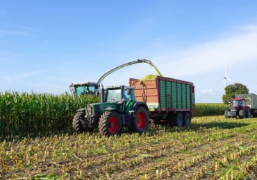 Scumpirea petrolului împinge țările spre biocombustibili. Experții avertizează: Lumea riscă o nouă criză alimentară