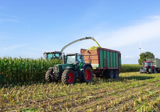 Scumpirea petrolului împinge țările spre biocombustibili. Experții avertizează: Lumea riscă o nouă criză alimentară