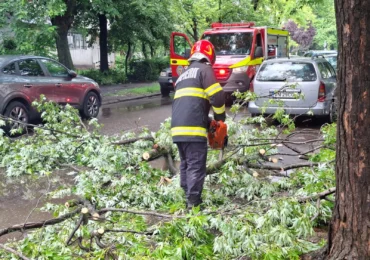 Vremea extremă a făcut probleme în 10 județe și în București. Locuințe inundate, copaci căzuți și drumuri blocate de aluviuni