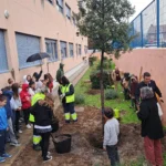 România participă la experimentul european care transformă școlile în centre de testare pentru viitorul verde
