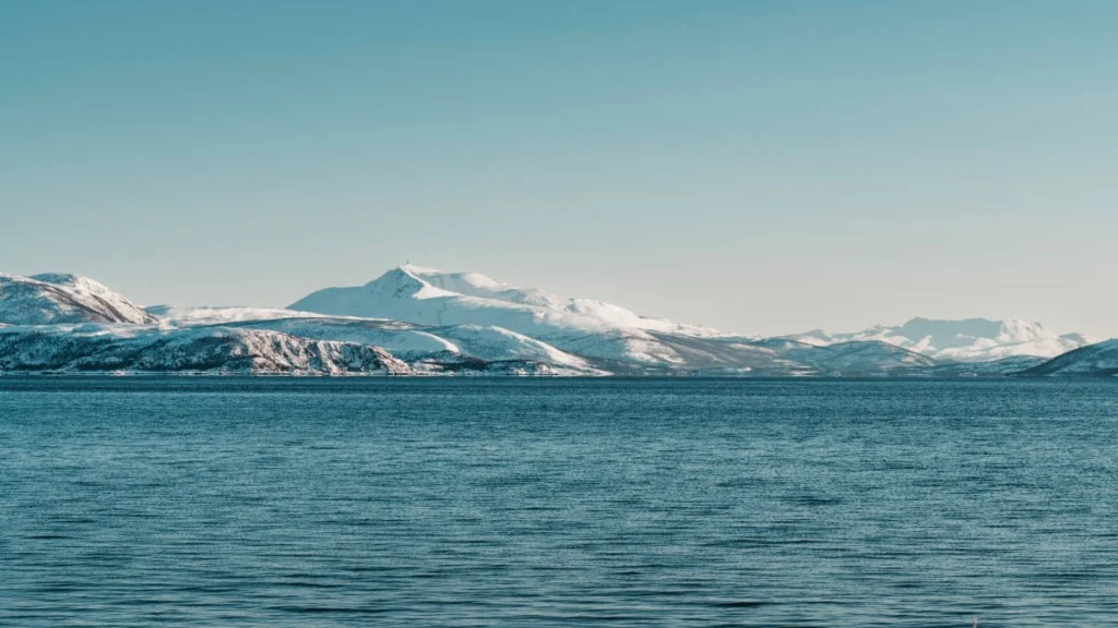 Compoziția chimică din Oceanul Arctic a depășit un punct critic ireversibil. Care sunt efectele