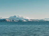 Compoziția chimică din Oceanul Arctic a depășit un punct critic ireversibil. Care sunt efectele