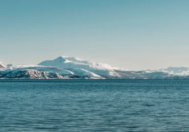 Compoziția chimică din Oceanul Arctic a depășit un punct critic ireversibil. Care sunt efectele