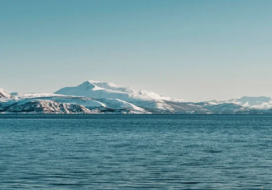 Compoziția chimică din Oceanul Arctic a depășit un punct critic ireversibil. Care sunt efectele