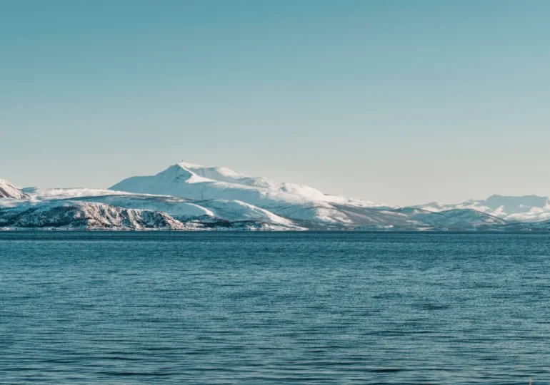 Compoziția chimică din Oceanul Arctic a depășit un punct critic ireversibil. Care sunt efectele