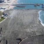 Soluția Dianei Buzoianu pentru plajele fără umbră: Vom readuce perdelele forestiere