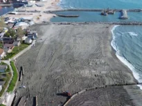 Soluția Dianei Buzoianu pentru plajele fără umbră: Vom readuce perdelele forestiere