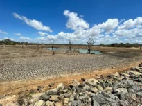Un fenomen natural va afecta vremea în Europa în această vară. Climatologii explică la ce trebuie să ne așteptăm