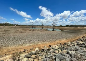 Un fenomen natural va afecta vremea în Europa în această vară. Climatologii explică la ce trebuie să ne așteptăm