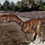 Biped și fără dinți! Așa arăta strămoșul din Triasic al crocodilului