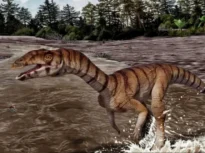 Biped și fără dinți! Așa arăta strămoșul din Triasic al crocodilului