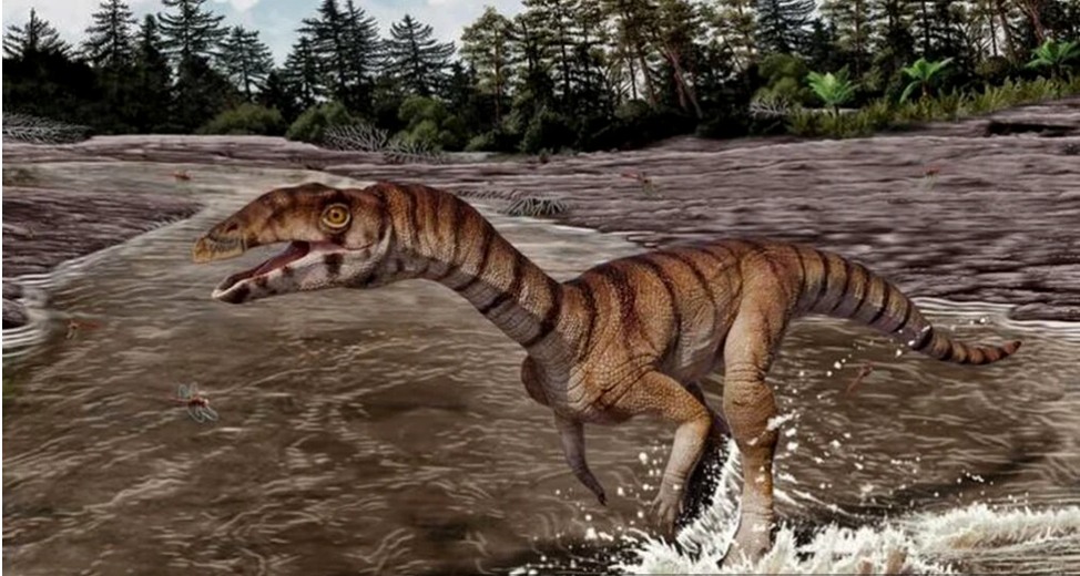 Biped și fără dinți! Așa arăta strămoșul din Triasic al crocodilului
