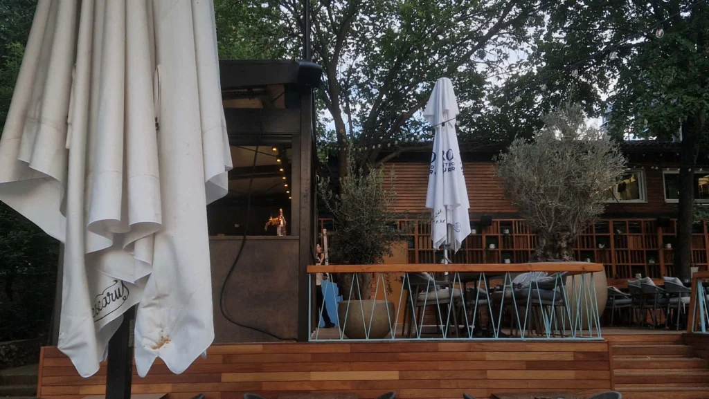 structura bar