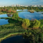 Bucureștiul va avea o Centură Verde întinsă pe 250 de hectare