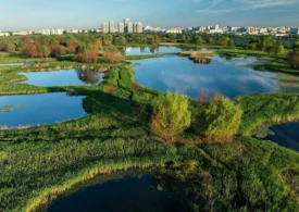 Bucureștiul va avea o Centură Verde întinsă pe 250 de hectare