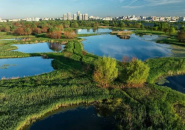 Bucureștiul va avea o Centură Verde întinsă pe 250 de hectare