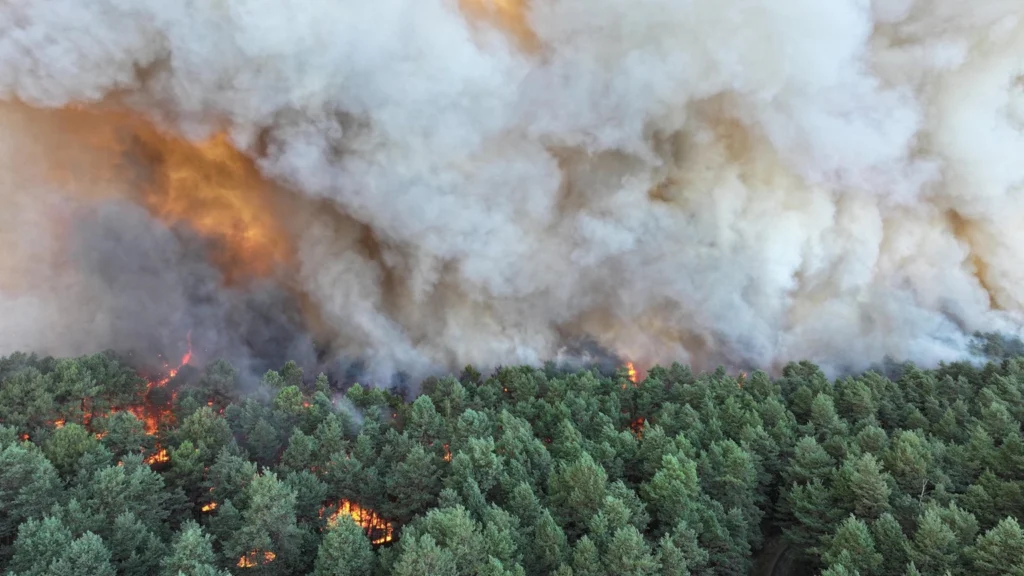 Flăcări imense la marginea Parisului, înainte de Ziua Franței: Arde o pădure emblematică (Video)