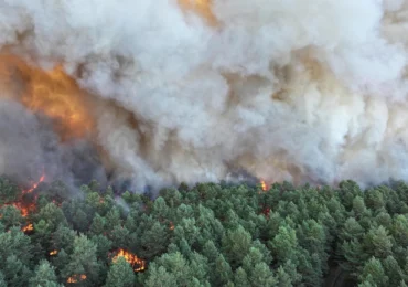 Flăcări imense la marginea Parisului, înainte de Ziua Franței: Arde o pădure emblematică (Video)