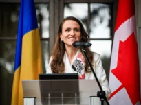 Obiectivele cu care România se prezintă la Summitul NATO de la Ankara. Oana Țoiu: Vom discuta și despre amenințările hibride