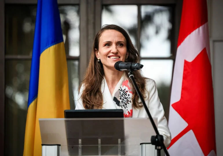 Obiectivele cu care România se prezintă la Summitul NATO de la Ankara. Oana Țoiu: Vom discuta și despre amenințările hibride