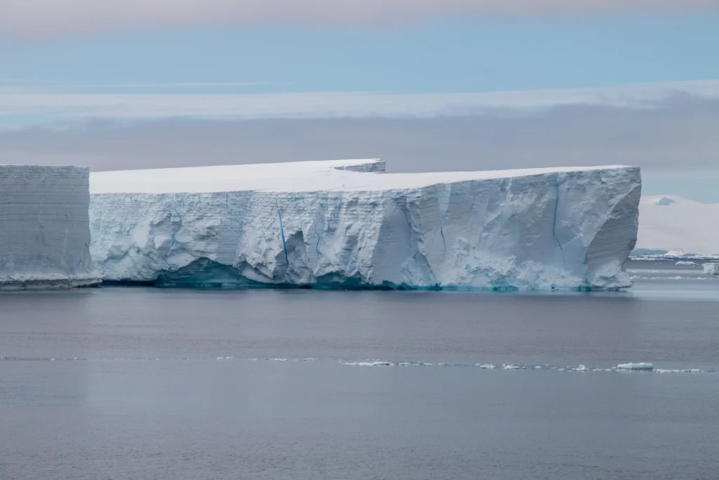 O toxină produsă de o vietate minusculă din Antarctica ar putea vindeca un tip agresiv de cancer