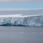 O toxină produsă de o vietate minusculă din Antarctica ar putea vindeca un tip agresiv de cancer
