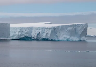 O toxină produsă de o vietate minusculă din Antarctica ar putea vindeca un tip agresiv de cancer
