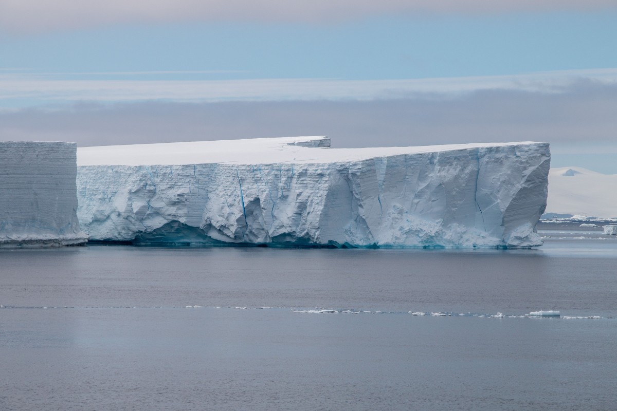 O toxină produsă de o vietate minusculă din Antarctica ar putea vindeca un tip agresiv de cancer