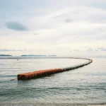 Grecia instalează bariere plutitoare pe plaje pentru a opri invazia de pești-iepure