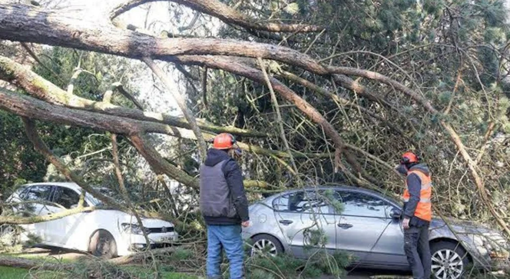 Furtuni violente în Franța: Cel puțin doi morți și peste 50.000 de locuințe fără curent. Camion răsturnat de vijelie (Video)