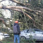 Furtuni violente în Franța: Cel puțin doi morți și peste 50.000 de locuințe fără curent. Camion răsturnat de vijelie (Video)