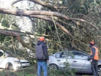 Furtuni violente în Franța: Cel puțin doi morți și peste 50.000 de locuințe fără curent. Camion răsturnat de vijelie (Video)