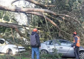 Furtuni violente în Franța: Cel puțin doi morți și peste 50.000 de locuințe fără curent. Camion răsturnat de vijelie (Video)