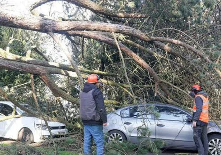 Furtuni violente în Franța: Cel puțin doi morți și peste 50.000 de locuințe fără curent. Camion răsturnat de vijelie (Video)