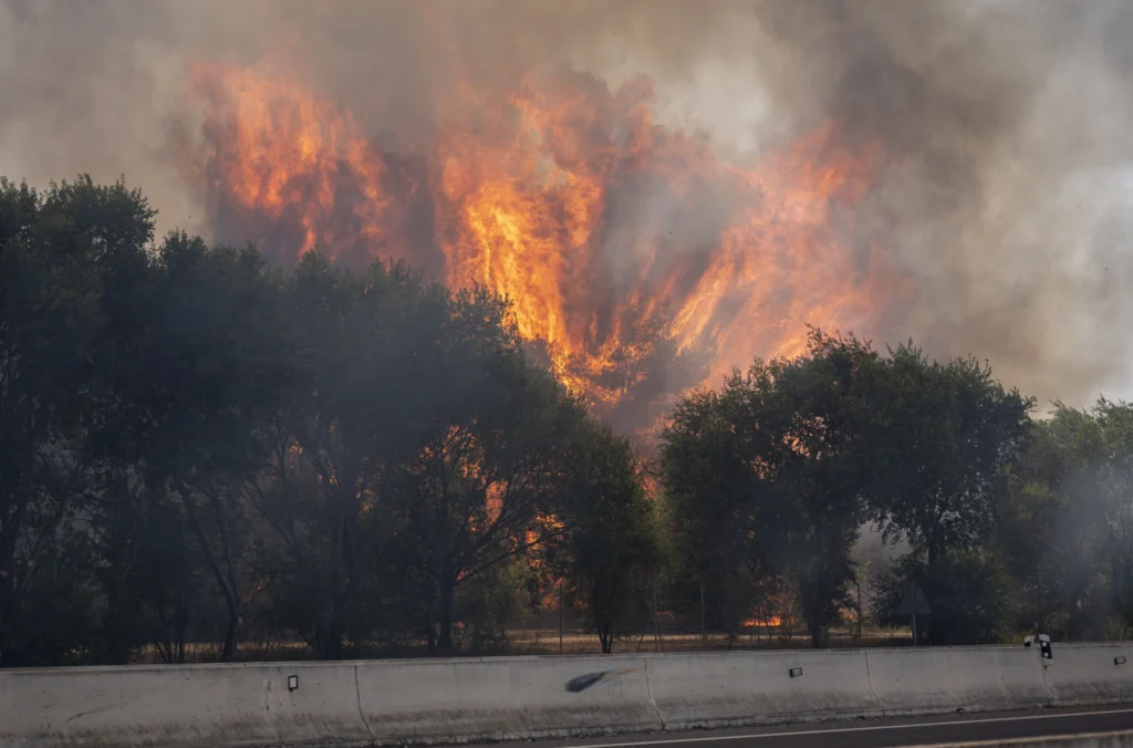 Incendiile scapă de sub control: Franța cere ajutorul UE, iar Spania declară stare de urgență națională (Foto&amp;Video)
