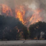 Incendiile scapă de sub control: Franța cere ajutorul UE, iar Spania declară stare de urgență națională (Foto&Video)